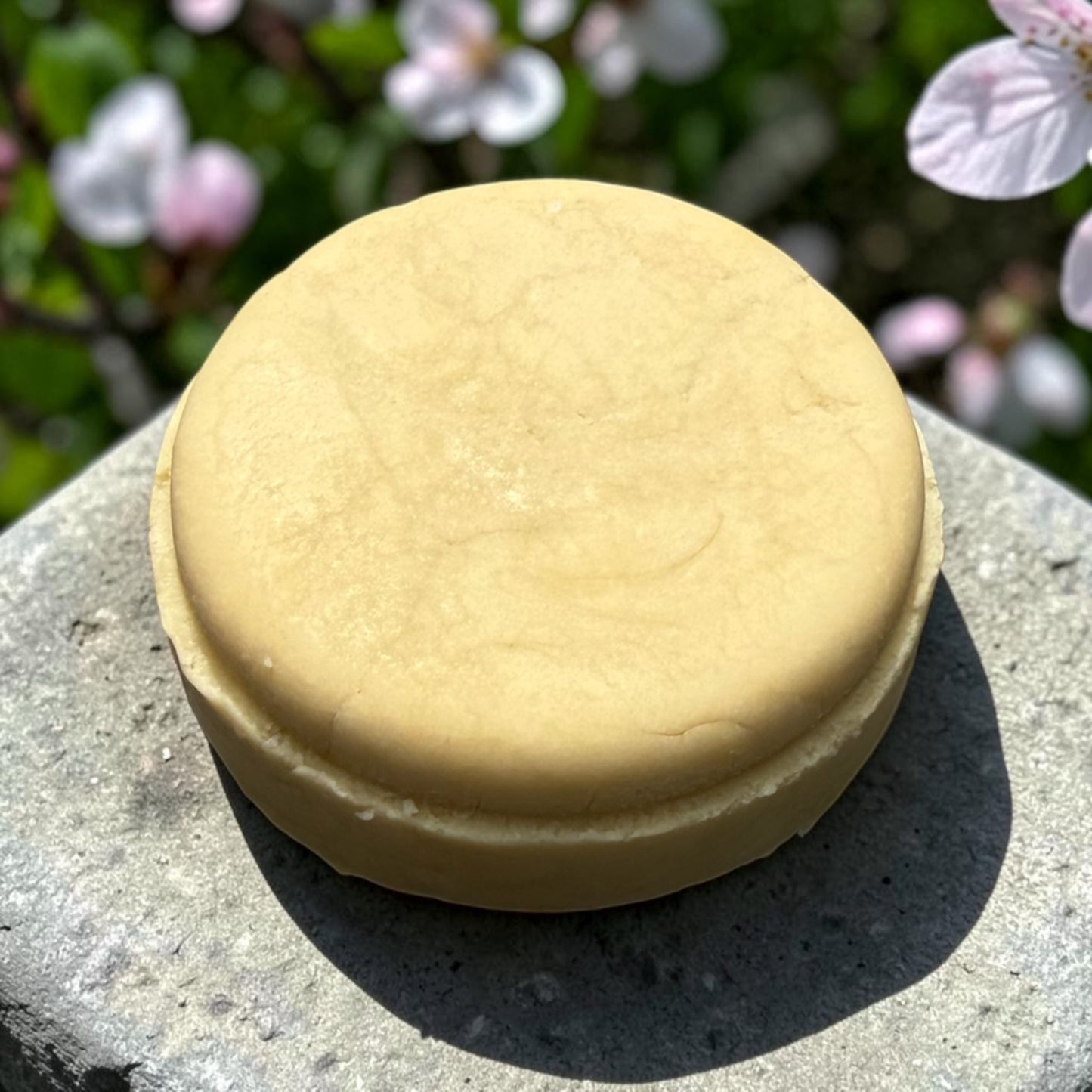 Dry & Curly Hair Shampoo Bar / Full or Travel Size